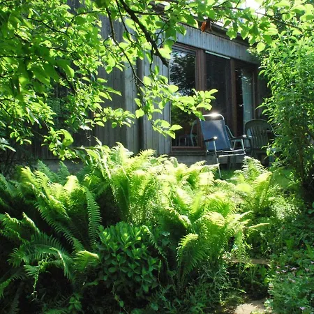 Ferienwohnung La Petite Source Florenville Exterior foto