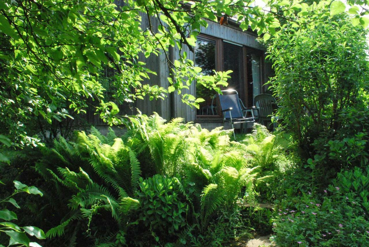 La Petite Source Apartment Florenville